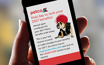 Smartphone Text Message Alert